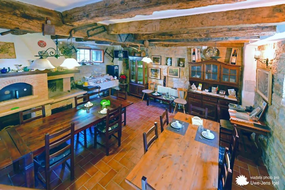 Al Merlo Olivo, Rural Istrian House Buje Dış mekan fotoğraf