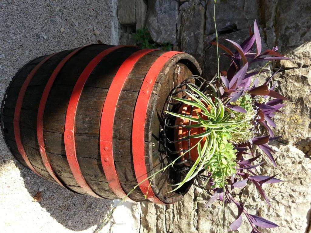 Al Merlo Olivo, Rural Istrian House Buje Dış mekan fotoğraf